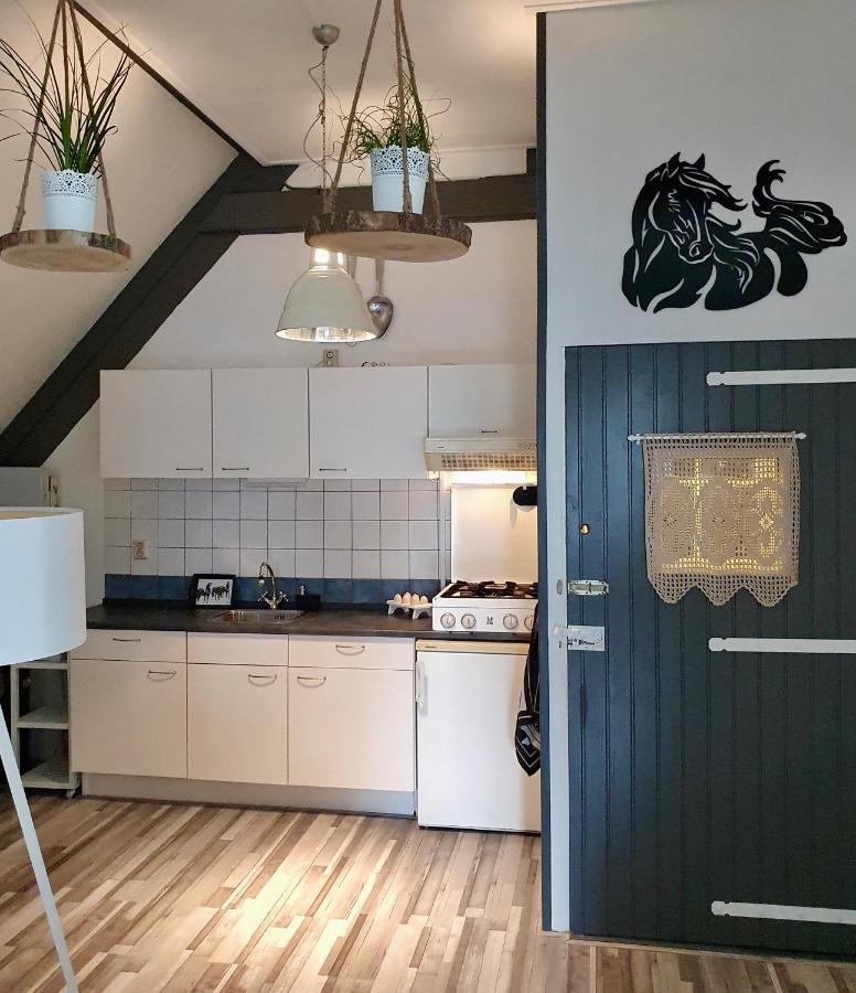 Apartment Het Friesche Paard Purmer Extérieur photo